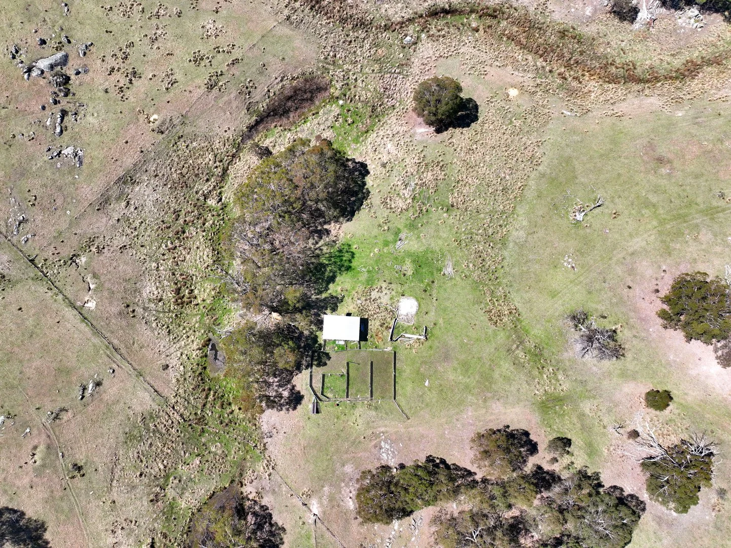 Image 12