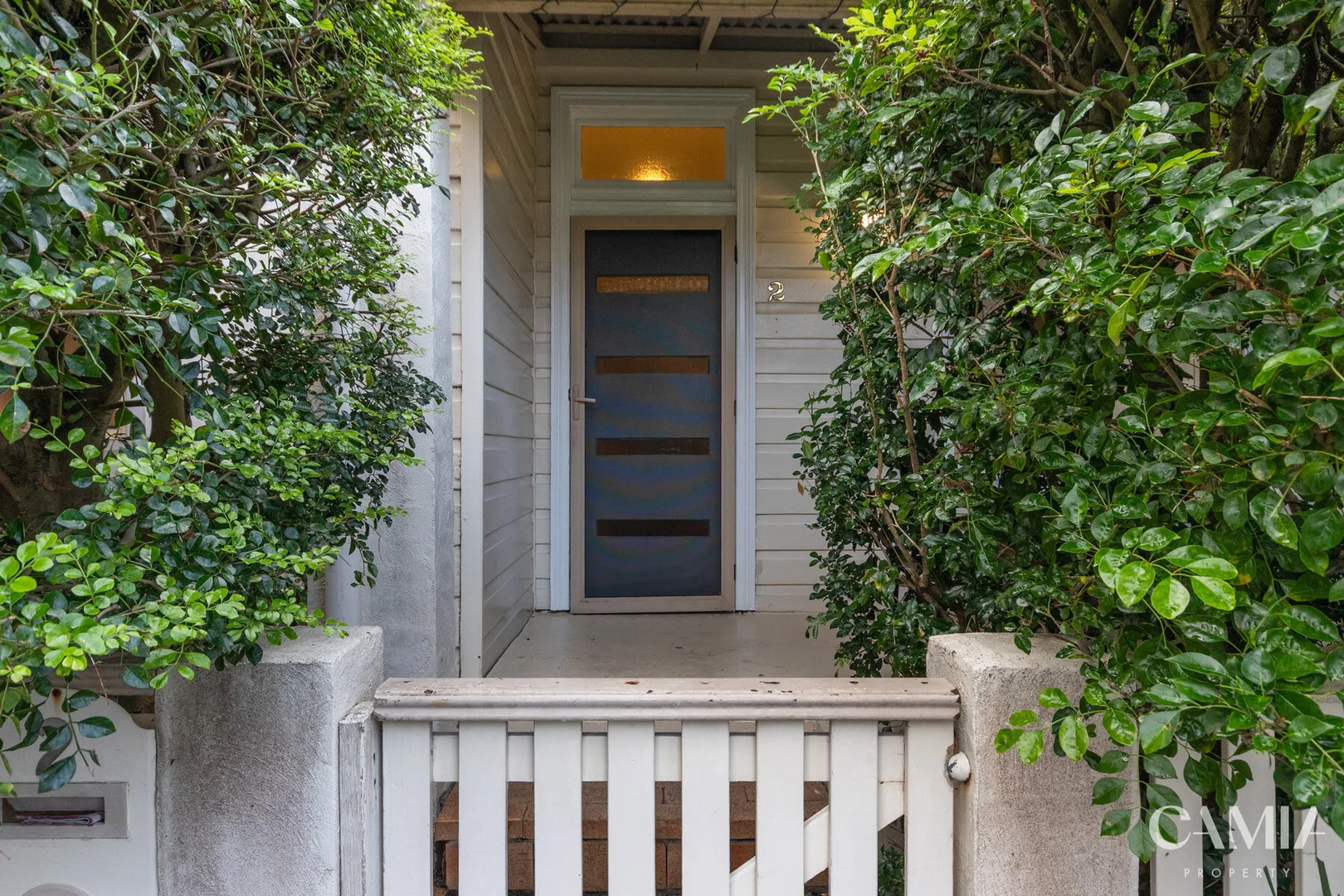 Image 11