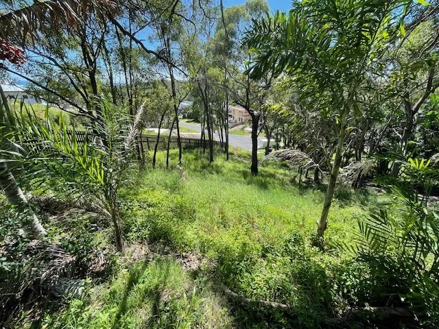 Image 6
