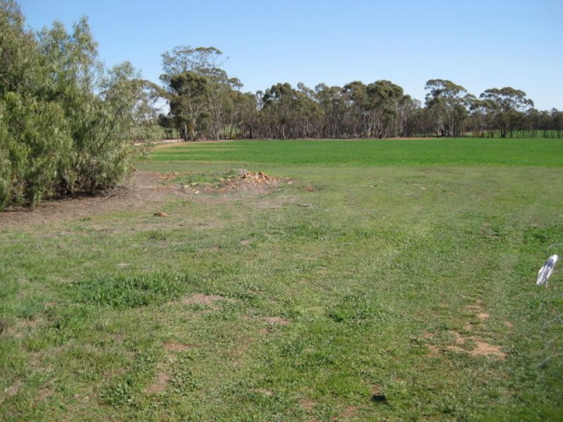 CA 2 Sec 2 Boort & Sailors Gully Road, Woolshed Flat VIC 3518, Image 2