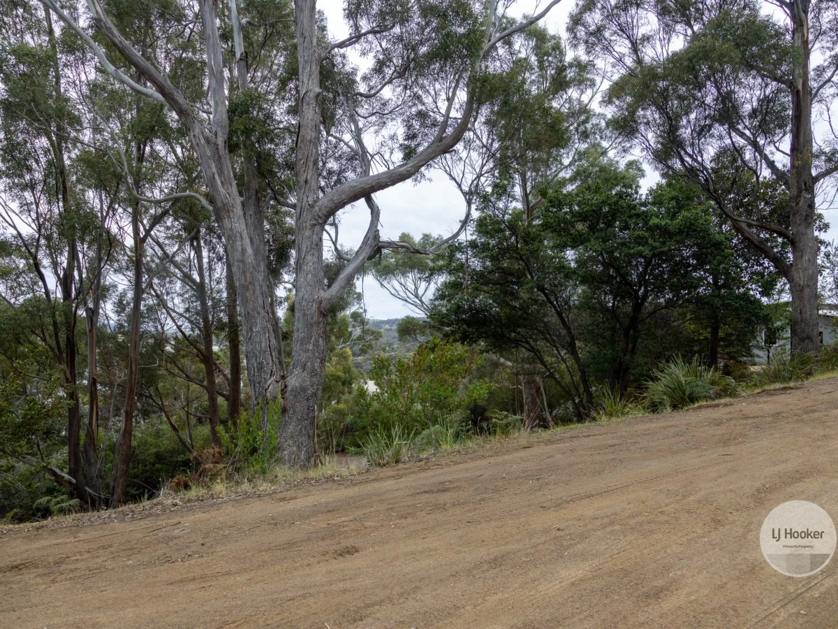 Image 17