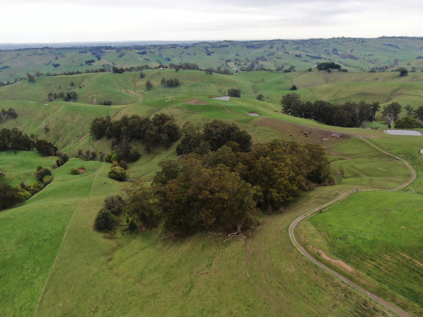 1342 Korumburra Warragul Road, Ranceby VIC 3951 Livestock Property