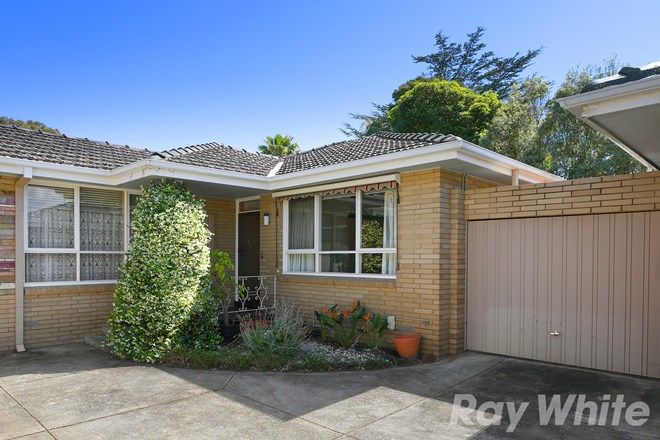 Picture of 3/24-26 Barilla Road, MOORABBIN VIC 3189