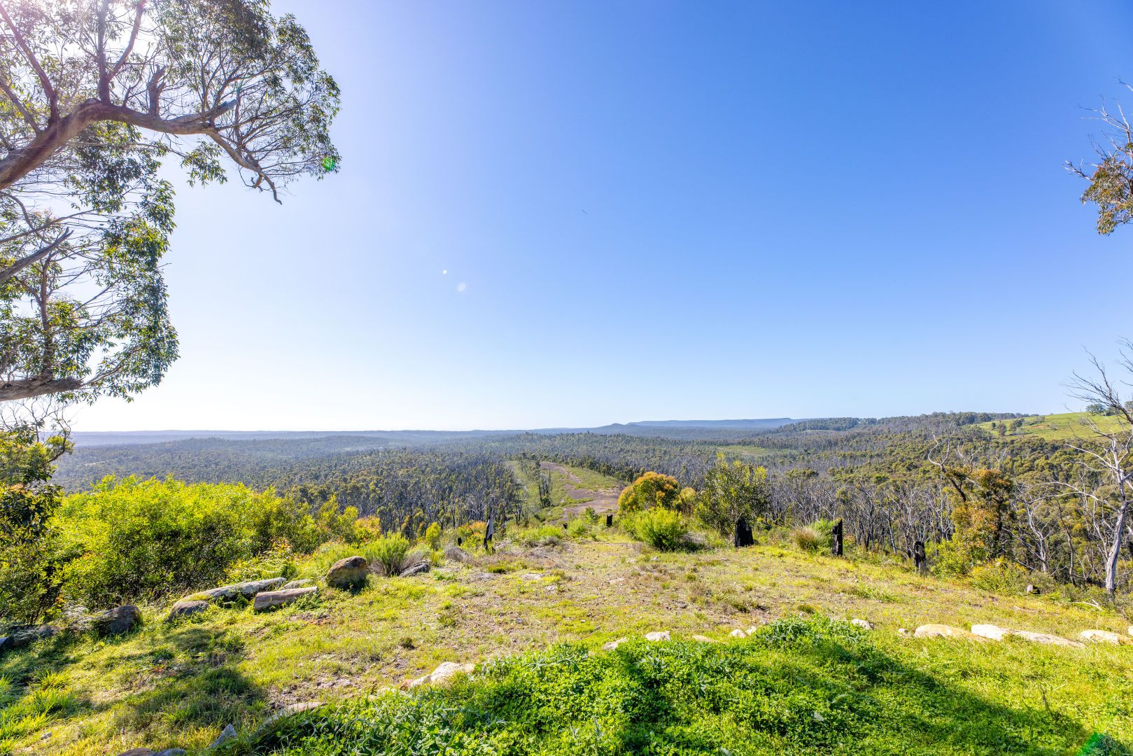 Lot 4 Braidwood Road, Sassafras NSW 2622, Image 1