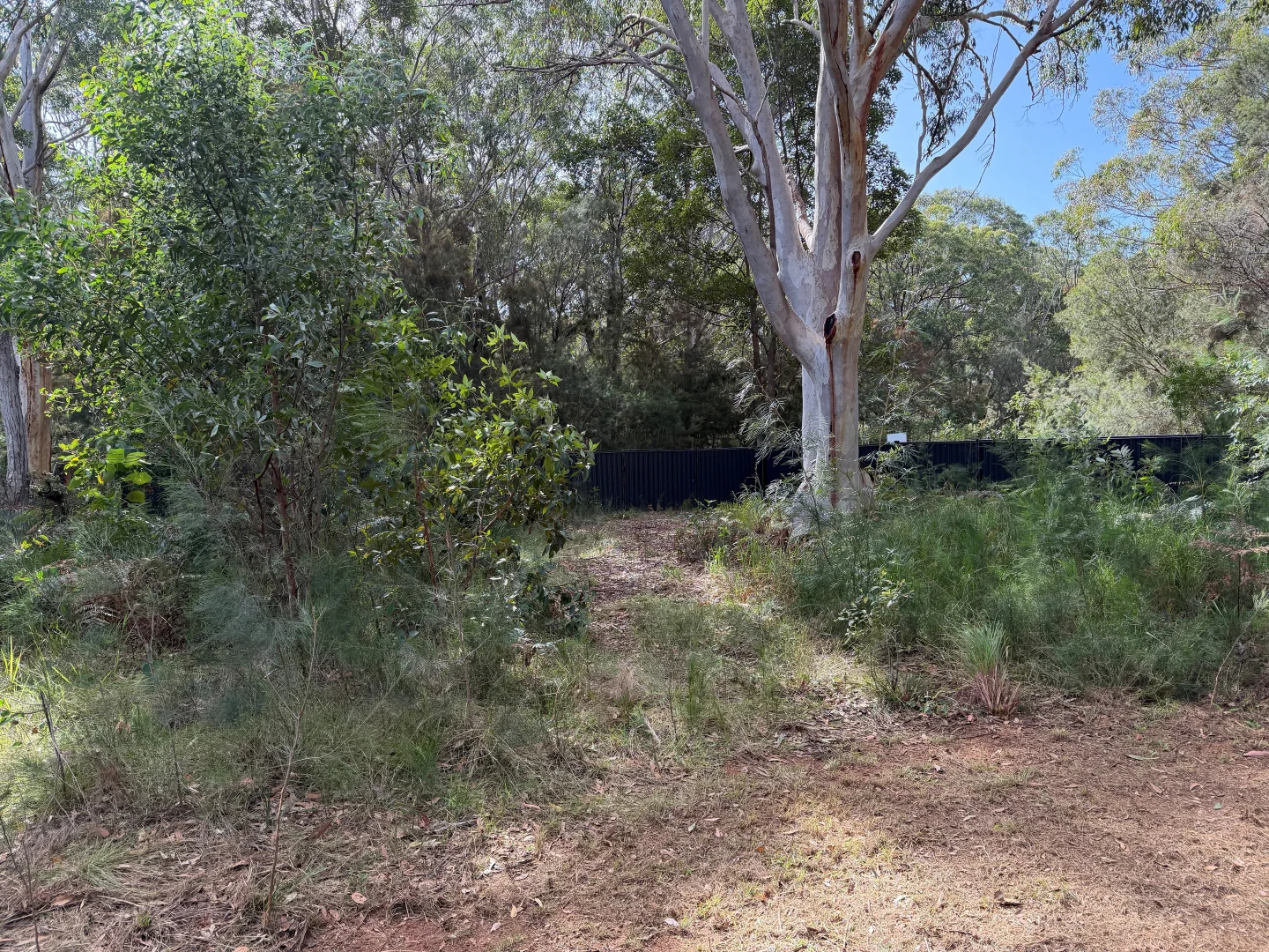 Image 6
