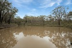 Image 14