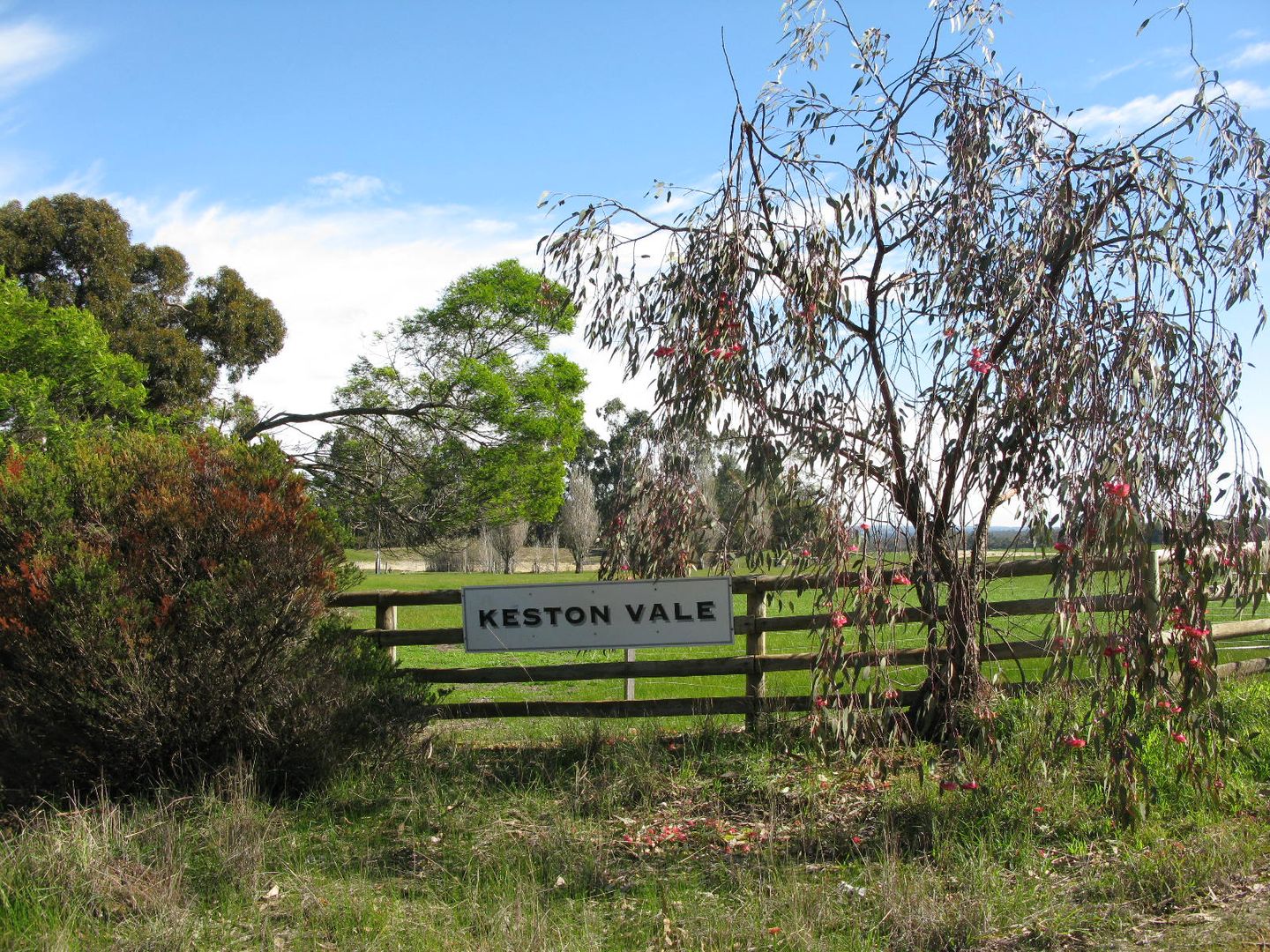 156 Keston Vale Road, Mobru | Property History & Address Research | Domain