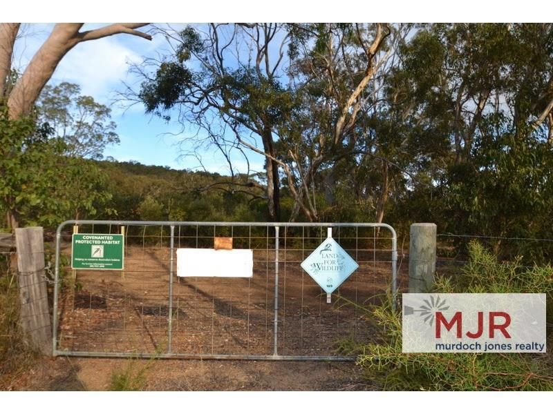 Lot 564, Scrivener Road, Serpentine WA 6125, Image 0