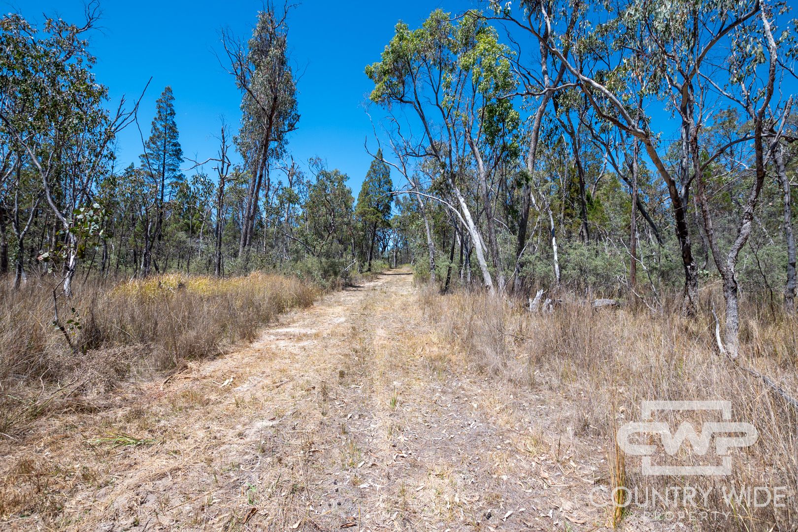 11 Old Stannifer Road, Gilgai NSW 2360, Image 2