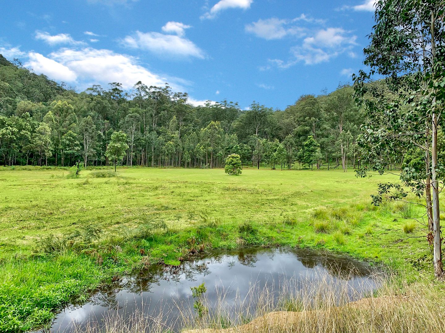 59 Angel Lane, Wollombi NSW 2325, Image 2