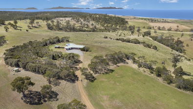 Picture of 131 Banwell Road, LITTLE SWANPORT TAS 7190