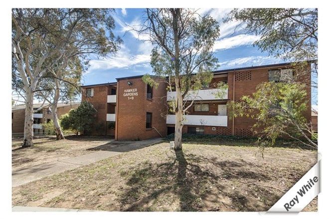 Picture of 2/153 Murranji Street, HAWKER ACT 2614