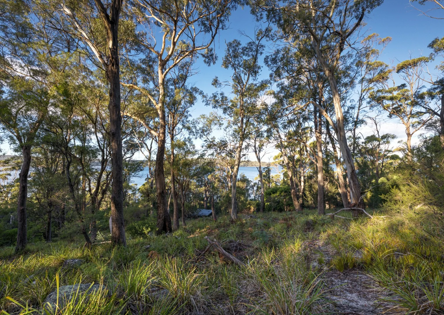 Image 10