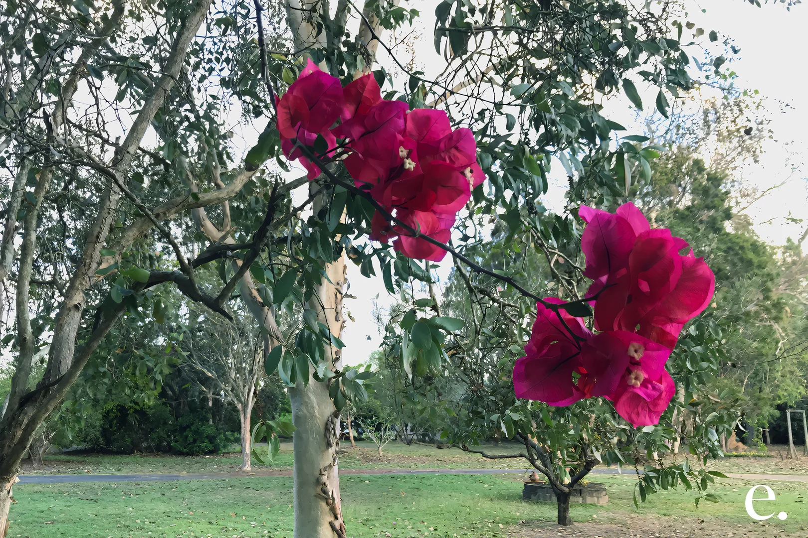 Additional image 22 of 10 Emerald Heights Road, Mareeba QLD 4880