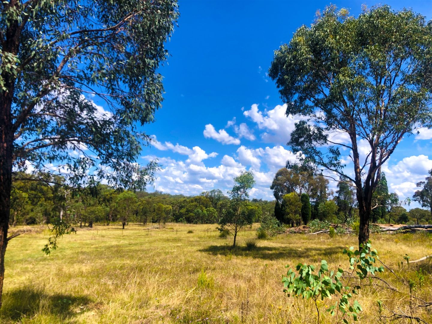 Sold 1025. Castlereagh Highway, Dunedoo NSW 2844 on 11 Oct 2023