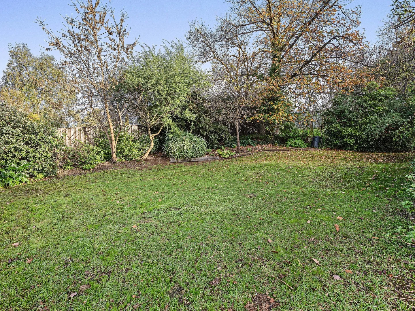 Image 20