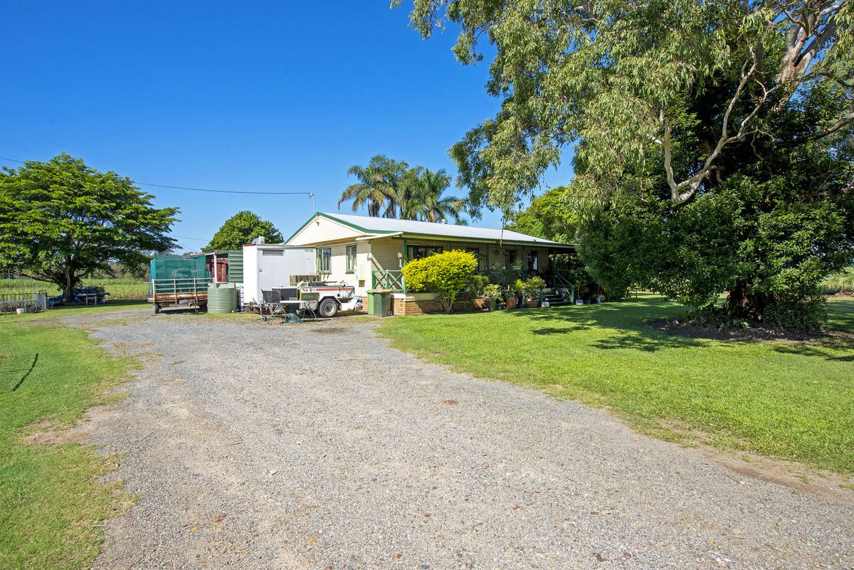 137 New Norwell Road, Woongoolba QLD 4207, Image 1