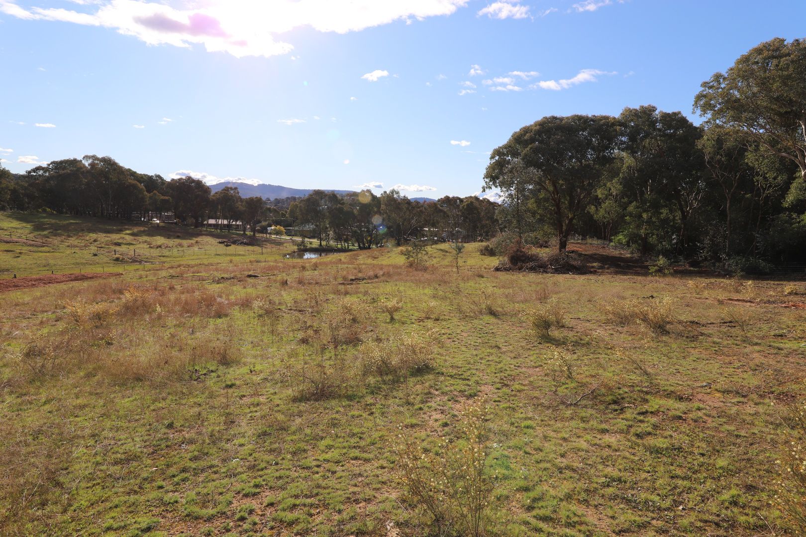 36 Quandong Avenue, Tumut NSW 2720, Image 2