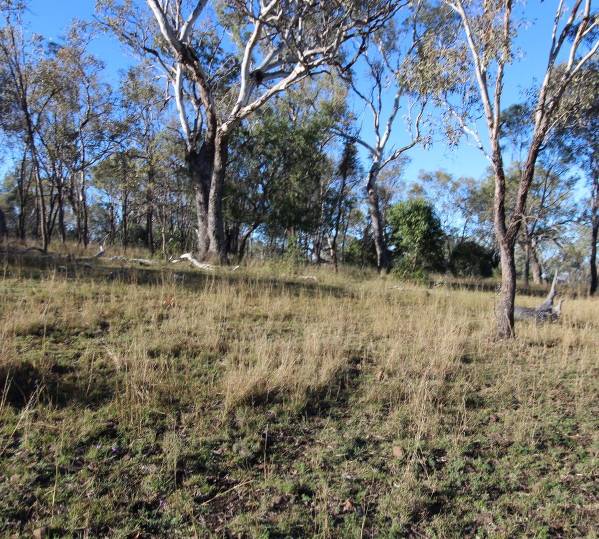 Back Plains Road, Nobby QLD 4360 House For Sale Domain