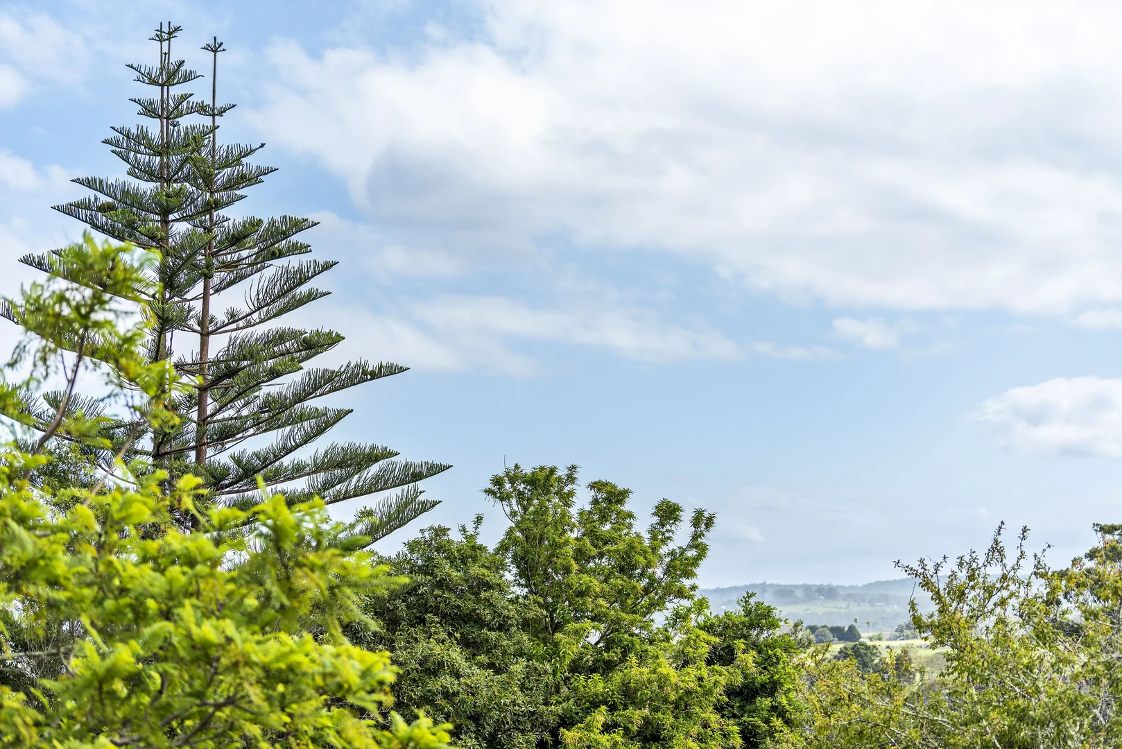 Additional image 19 of 12 Charles Street, Milton NSW 2538