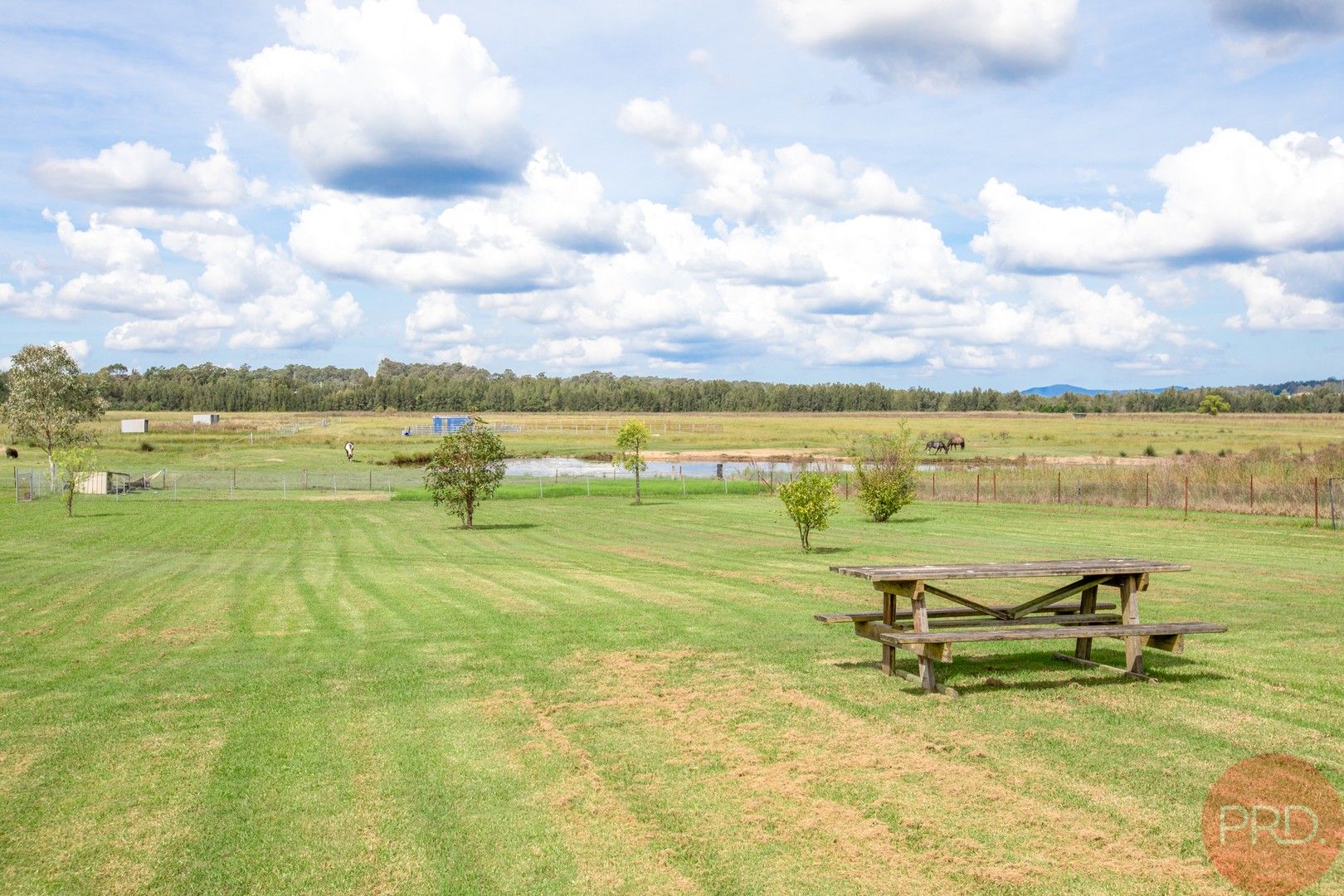 72 Wine Country Drive, Nulkaba NSW 2325, Image 1