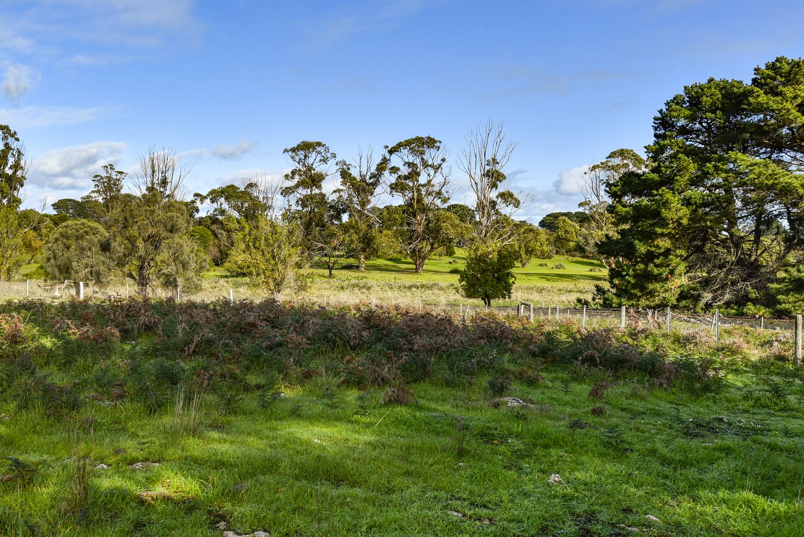 Lot 907 Skeer Road, Hatherleigh SA 5280, Image 2