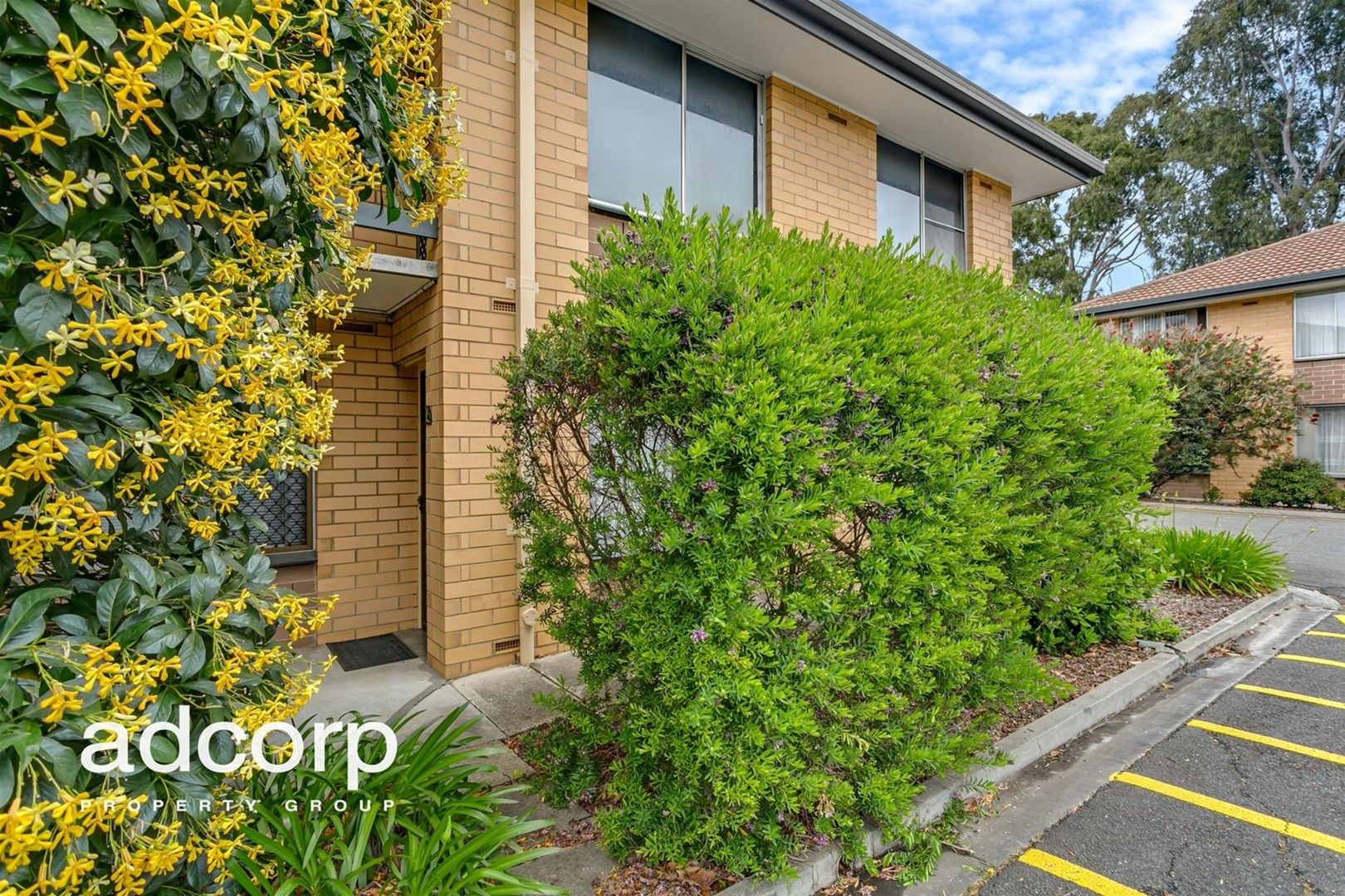 15/87 Mary Street, Unley SA 5061, Image 0