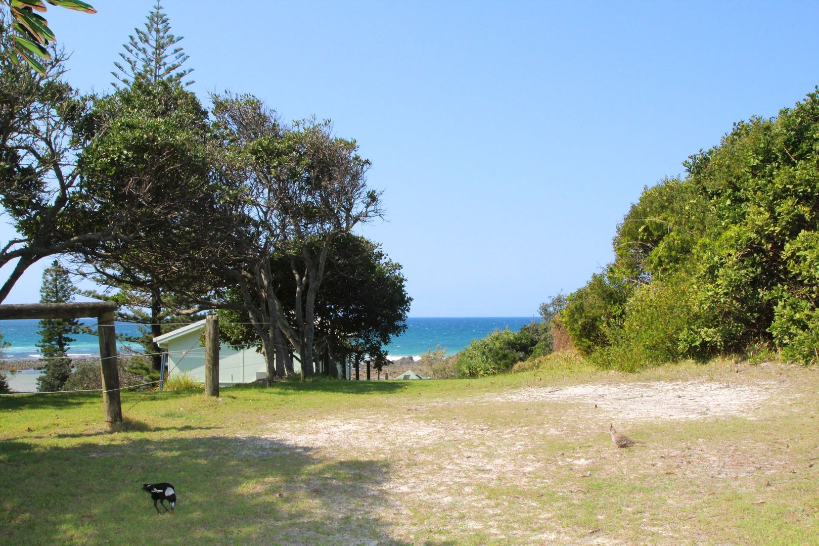 Site 94 Brooms Head Caravan Park, Off Ocean Road, Brooms Head NSW 2463, Image 2