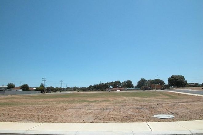 Picture of LOT 9 TARRAGONA LOOP, CERVANTES WA 6511