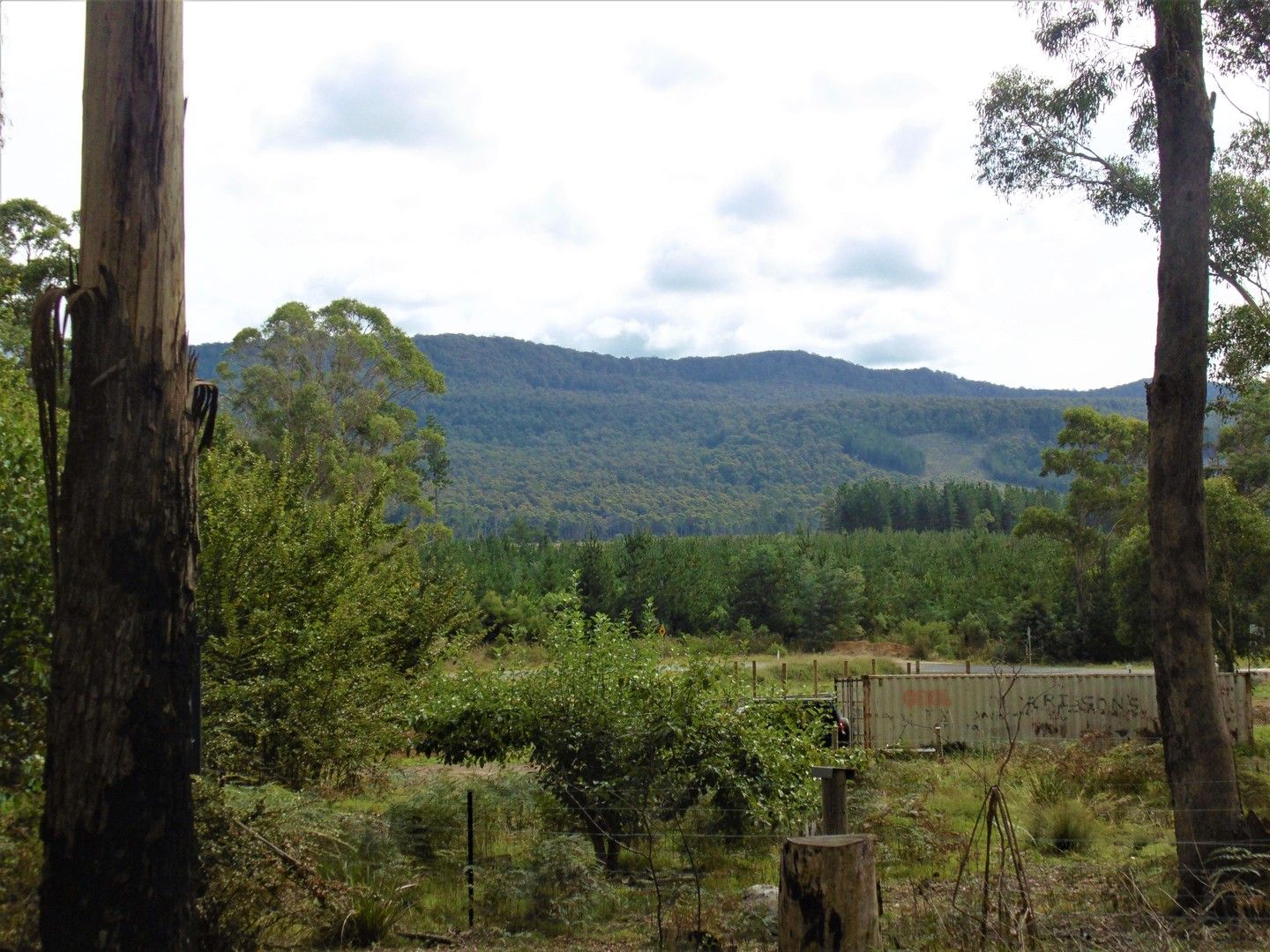 Lot 11 Dulverton Road, Railton TAS 7305, Image 0