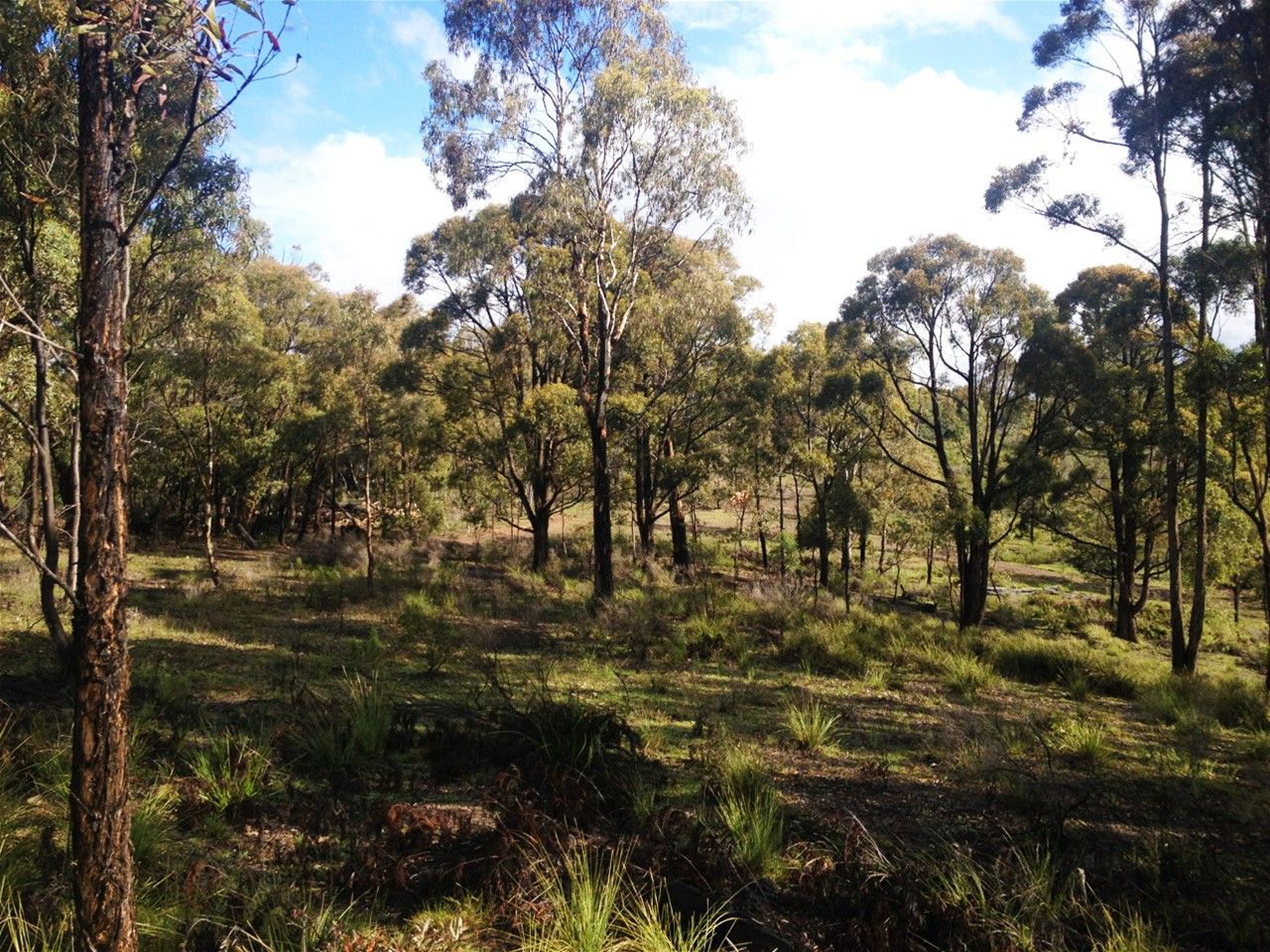 Coolah NSW 2843 Vacant Land for Sale 349,000 Domain