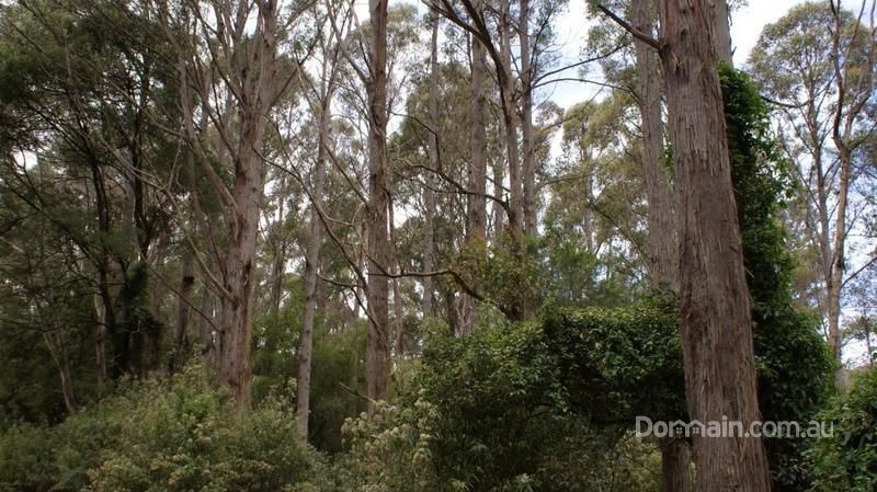 0 Brady's Plains Road, PARKHAM TAS 7304, Image 2