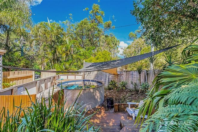 Picture of 26 Cooloosa Street, SUNSHINE BEACH QLD 4567
