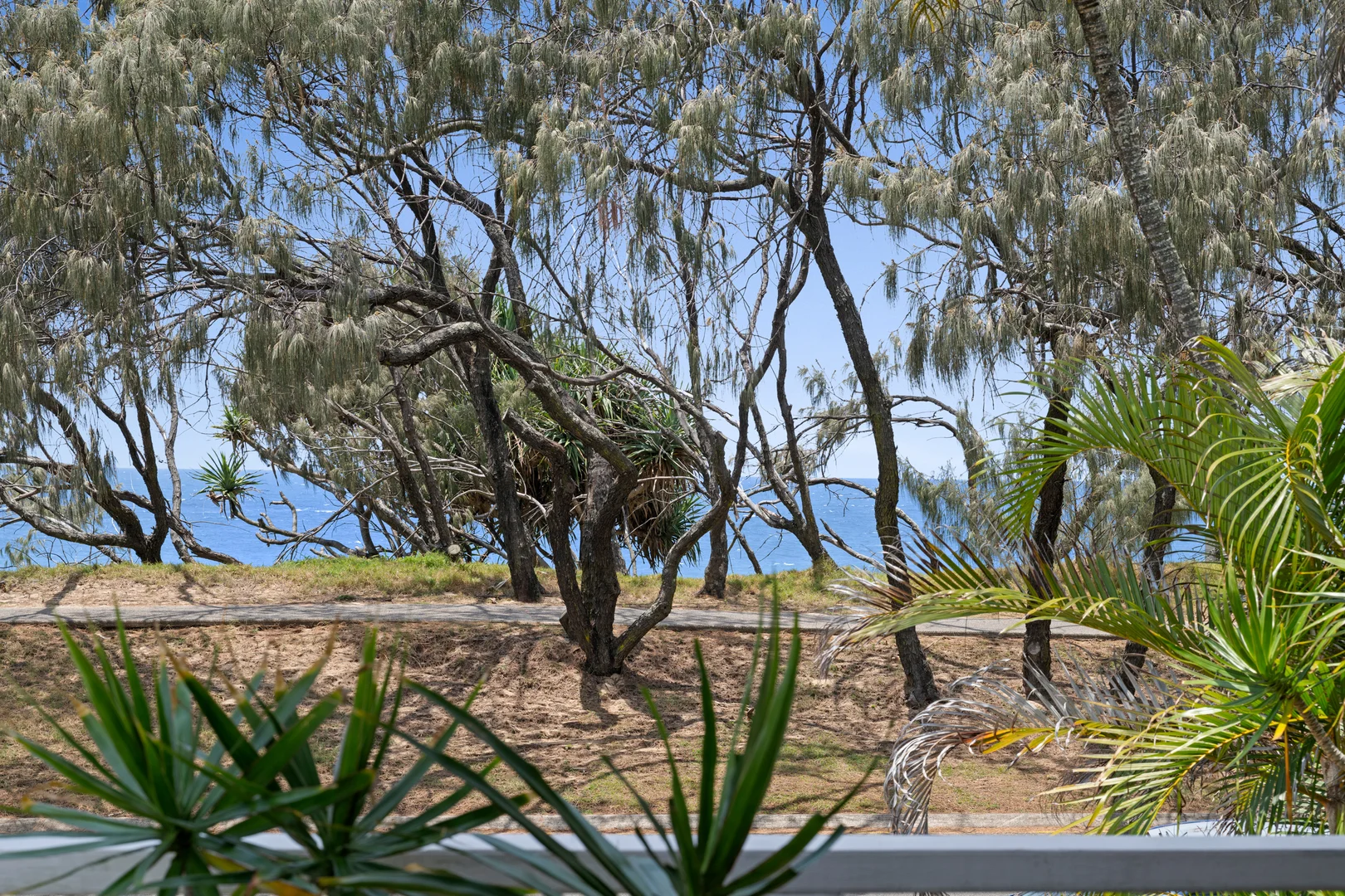 Additional image 21 of 83 Pacific Boulevard, Buddina QLD 4575