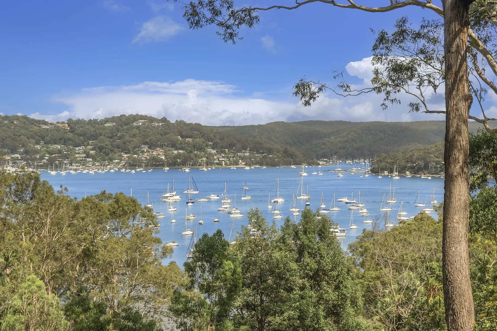 Additional image 12 of 159 Prince Alfred Parade, Newport NSW 2106