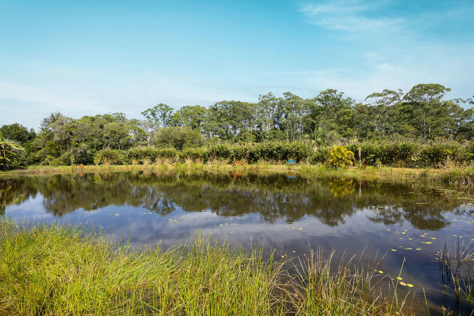 Additional image 22 of 262 Cooroy Mountain Road, Cooroy Mountain QLD 4563