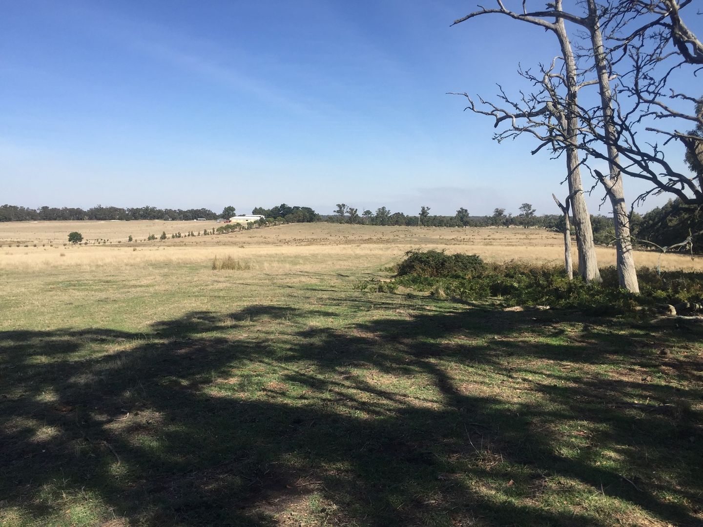 Lot 3 Scotts Lane, Scotsburn VIC 3352, Image 2