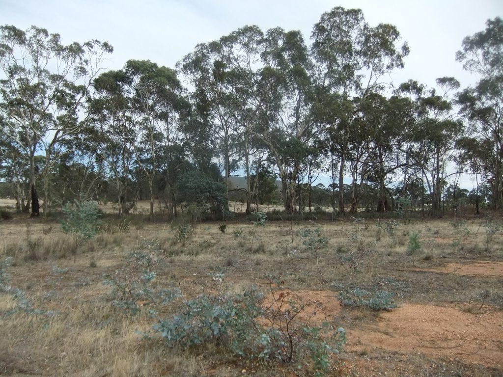 * High Street, Moliagul VIC 3472, Image 1