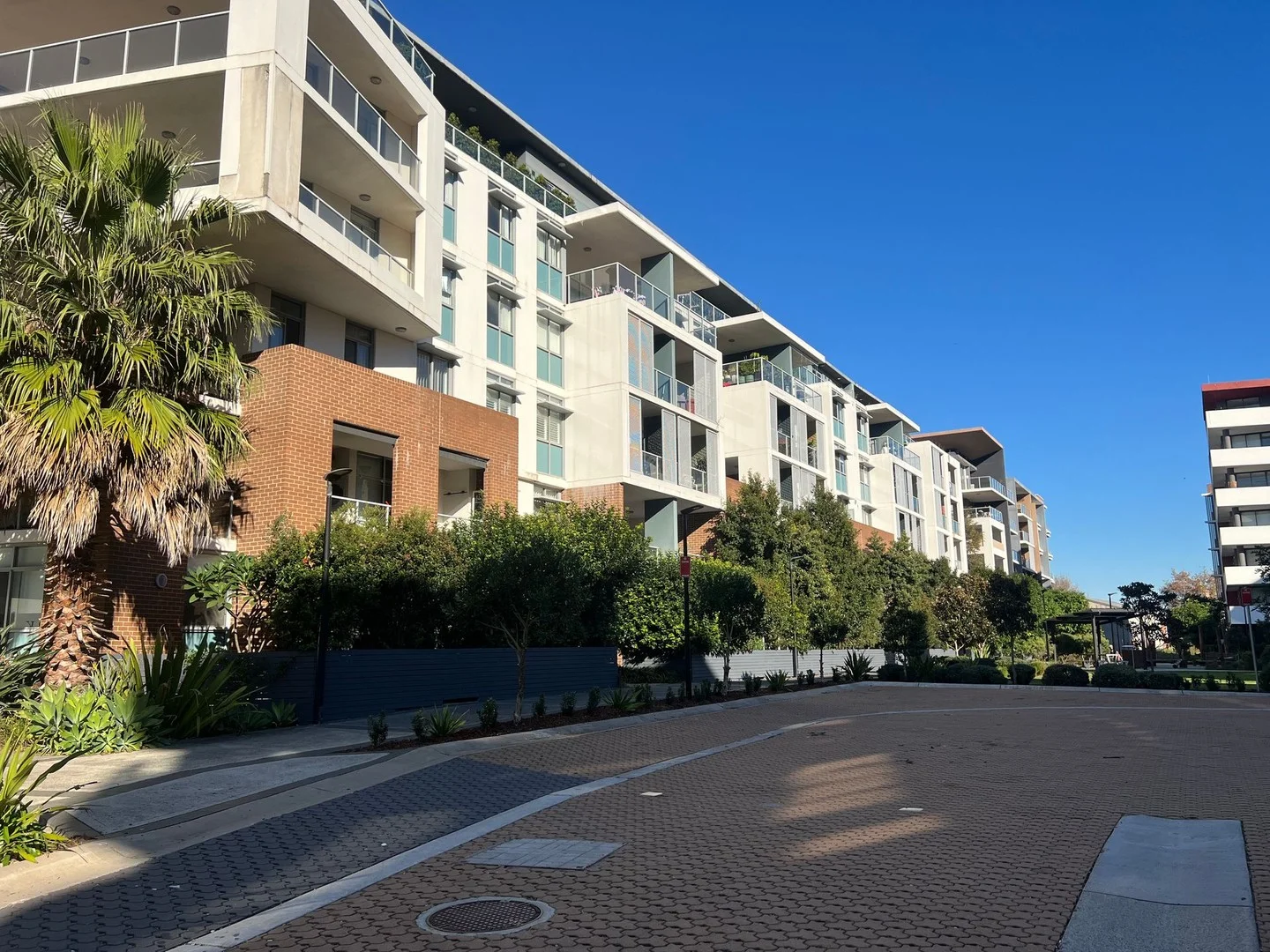 204/16 Pemberton Street, Botany NSW 2019