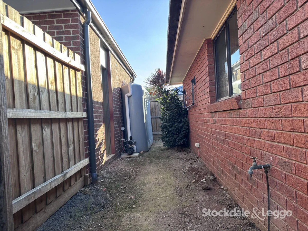 Image 14