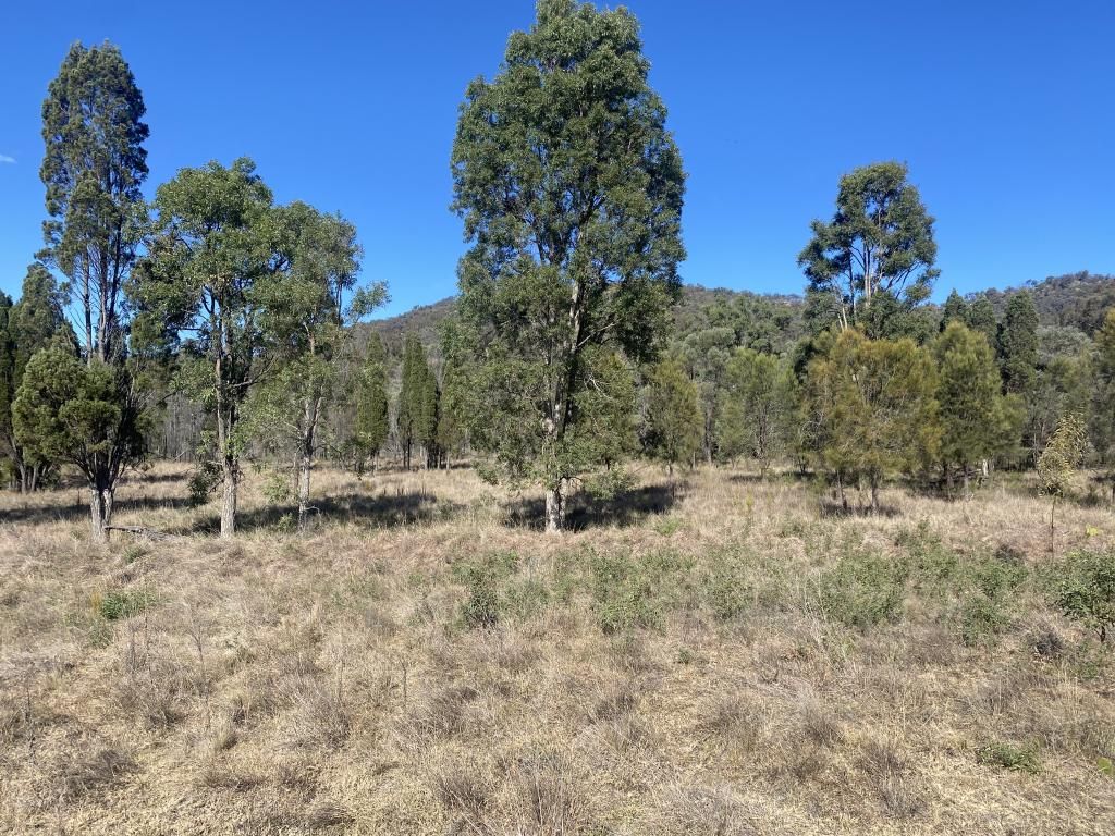 Lot102DP750969 Yarraman Road, Wybong NSW 2333 Vacant Land for Sale