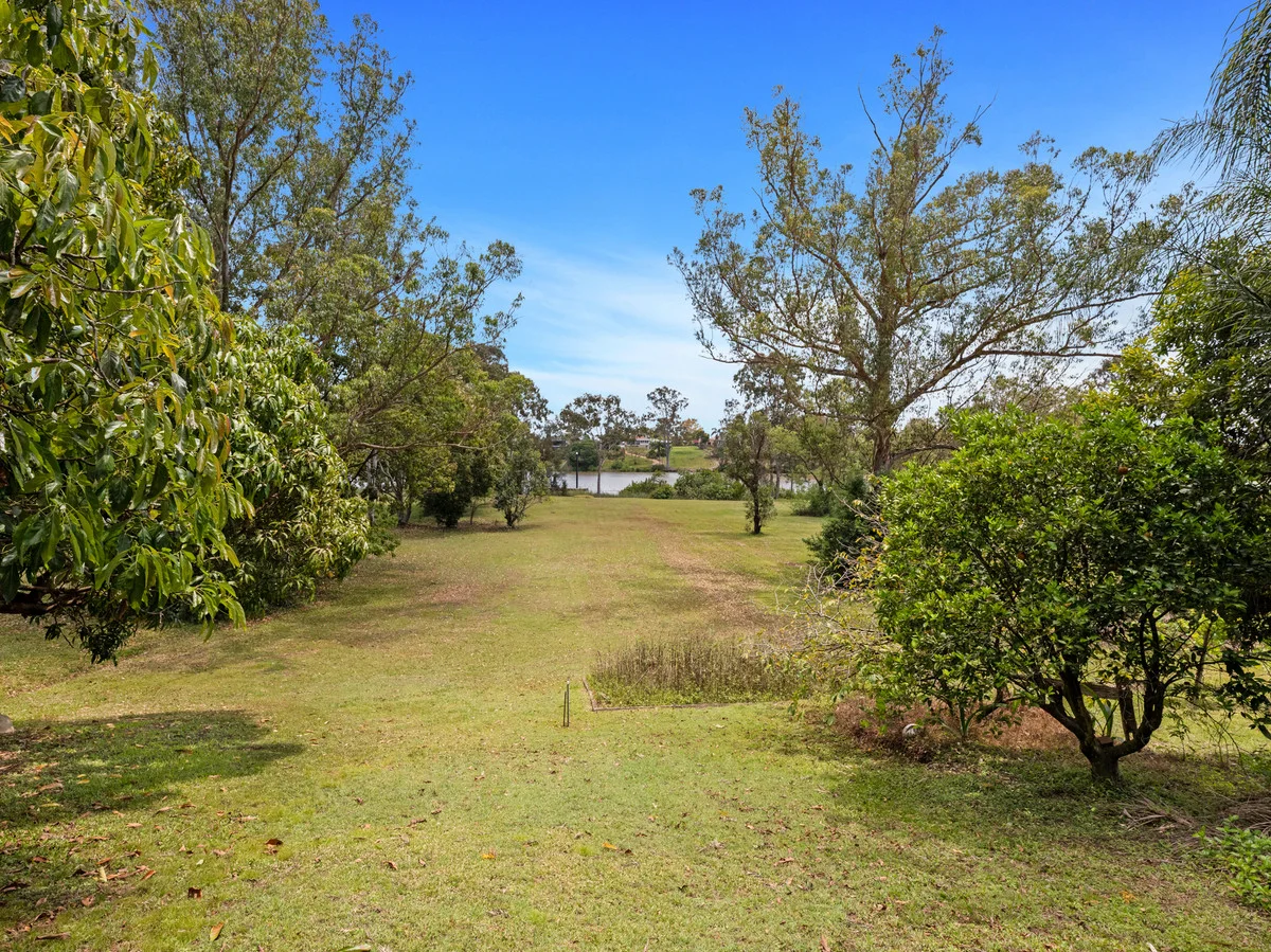 Image 33