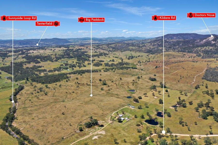 585 Sunnyside Loop Road, Tenterfield NSW 2372, Image 0