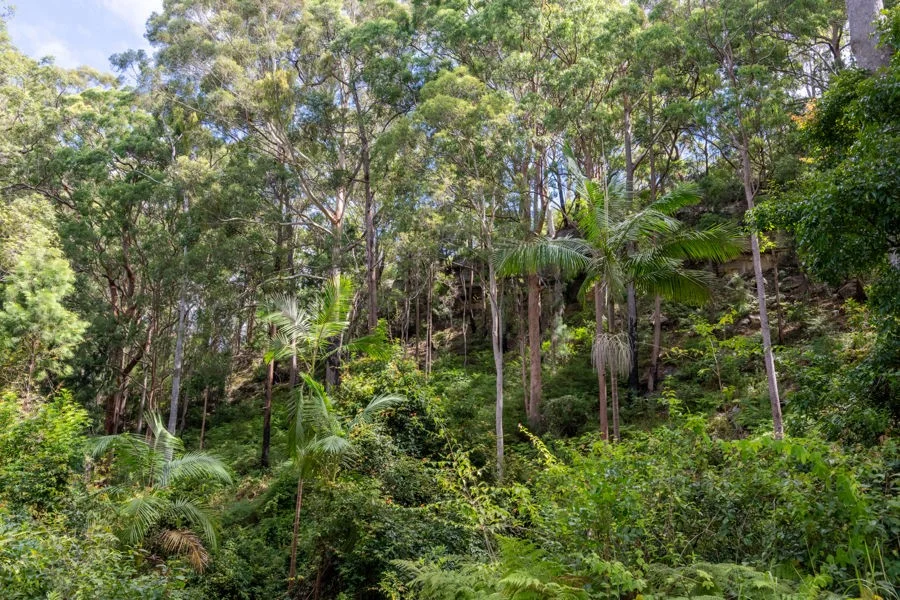 Image 9