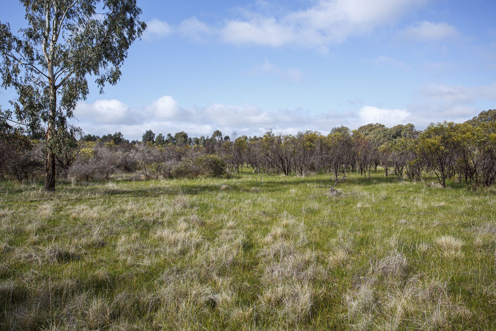 McRoberts Road, Locksley VIC 3665, Image 1