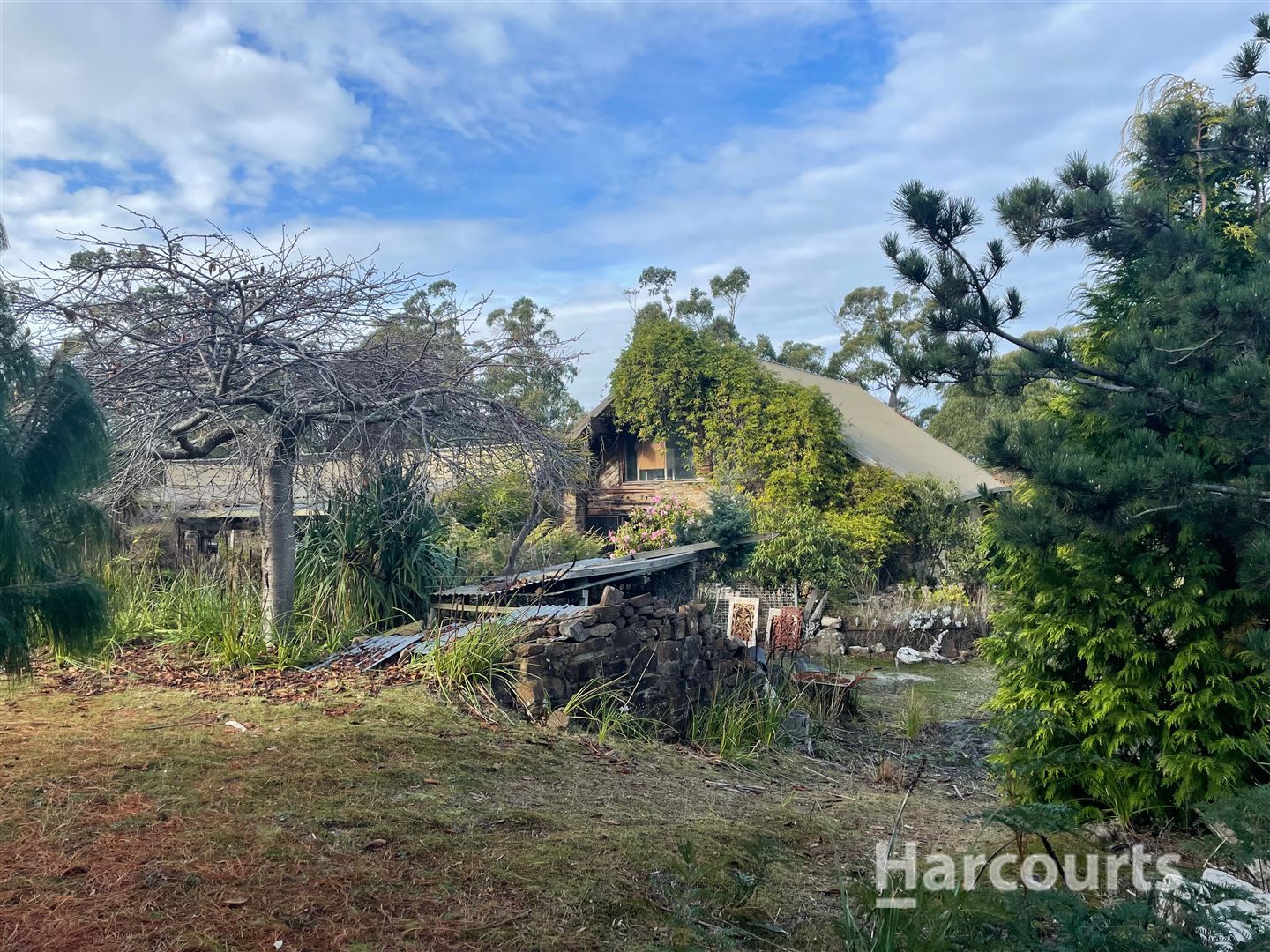 372 Austins Road, Turners Marsh TAS 7267, Image 1