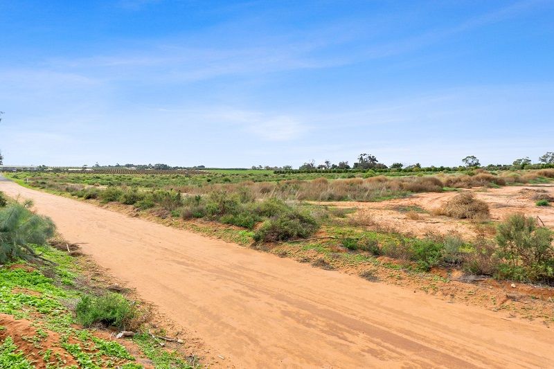 Lot 128 Cox Road, Waikerie SA 5330, Image 1