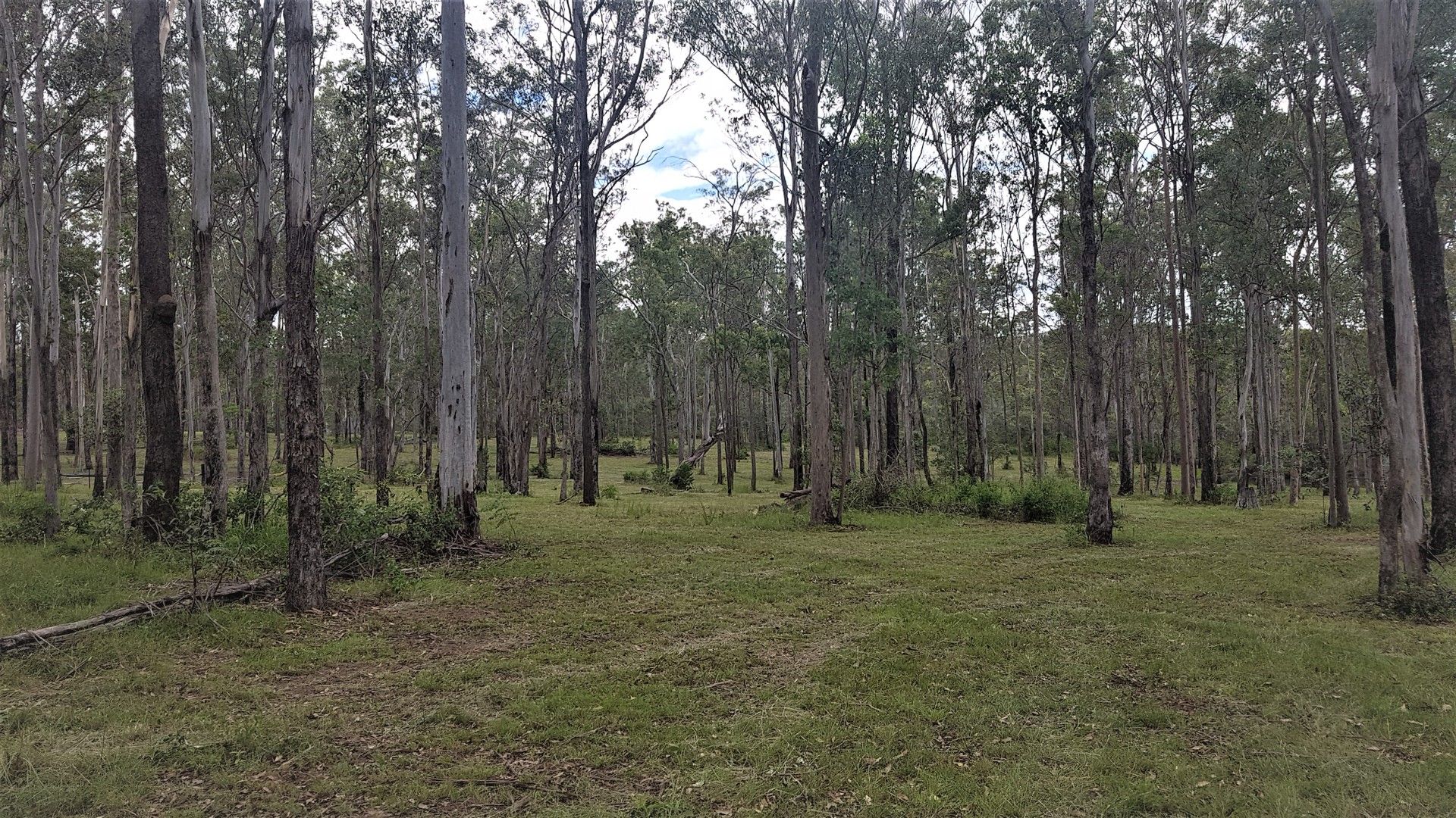 Lot 111 Arbornine Road, Glenwood QLD 4570 Land for Sale Domain