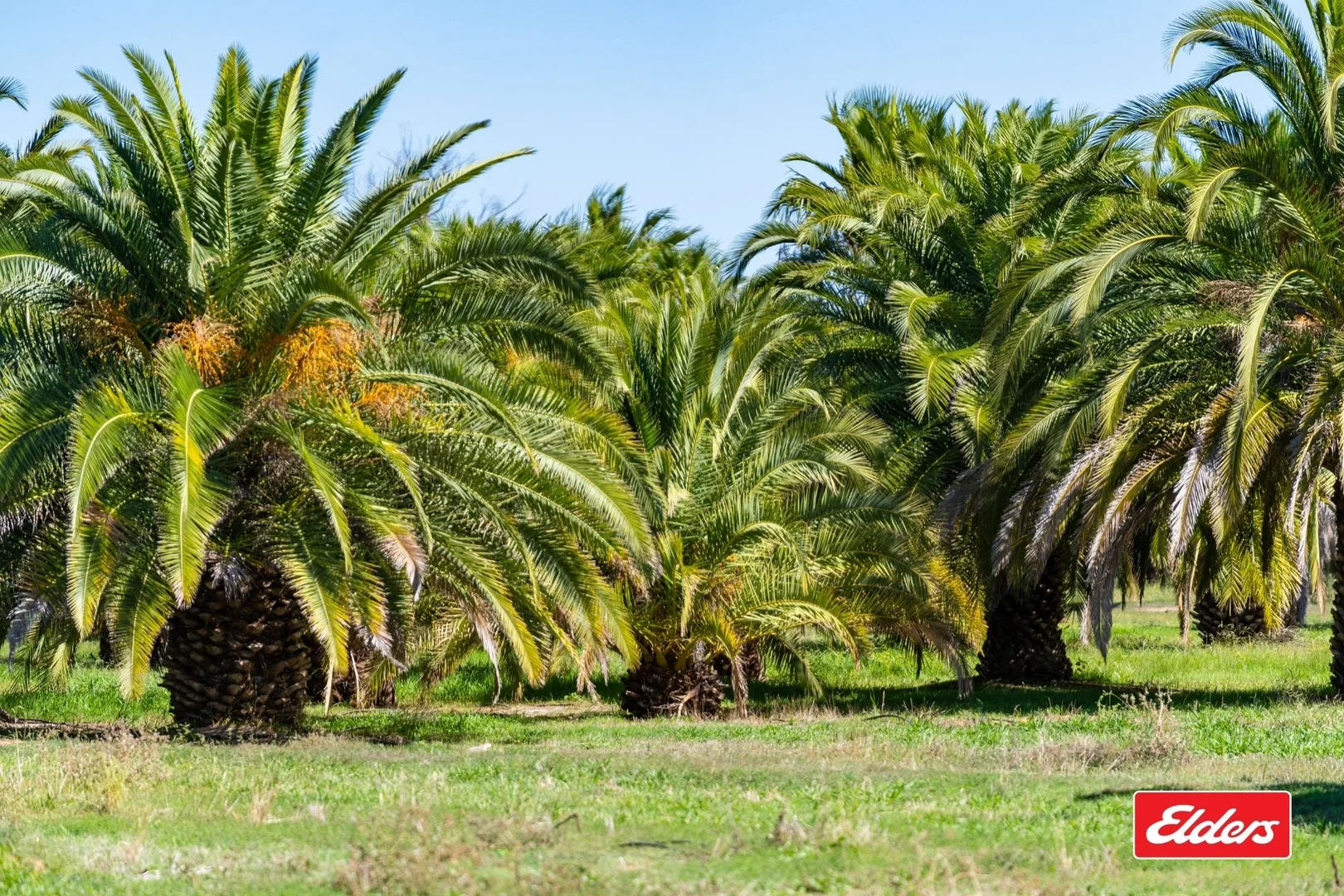 Additional image 22 of 124 Farley Road, Echuca VIC 3564