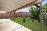 Image 14